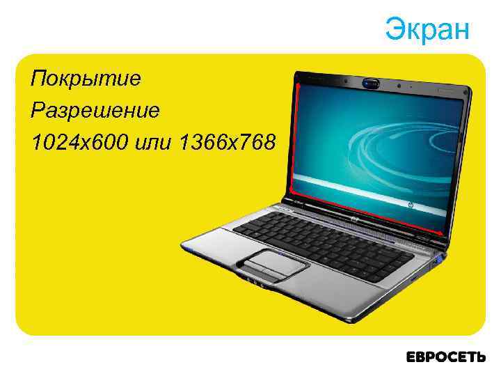 Экран Покрытие Разрешение 1024 x 600 или 1366 x 768 