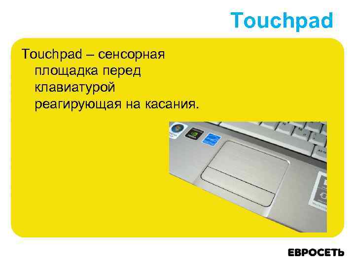 Touchpad – сенсорная площадка перед клавиатурой реагирующая на касания. 