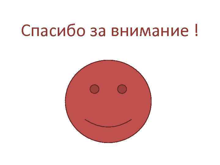 Спасибо за внимание ! 