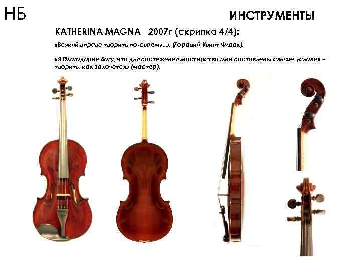 Скрипка русский язык 6 класс