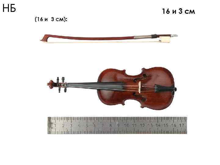 НБ 16 и 3 см (16 и 3 см): 