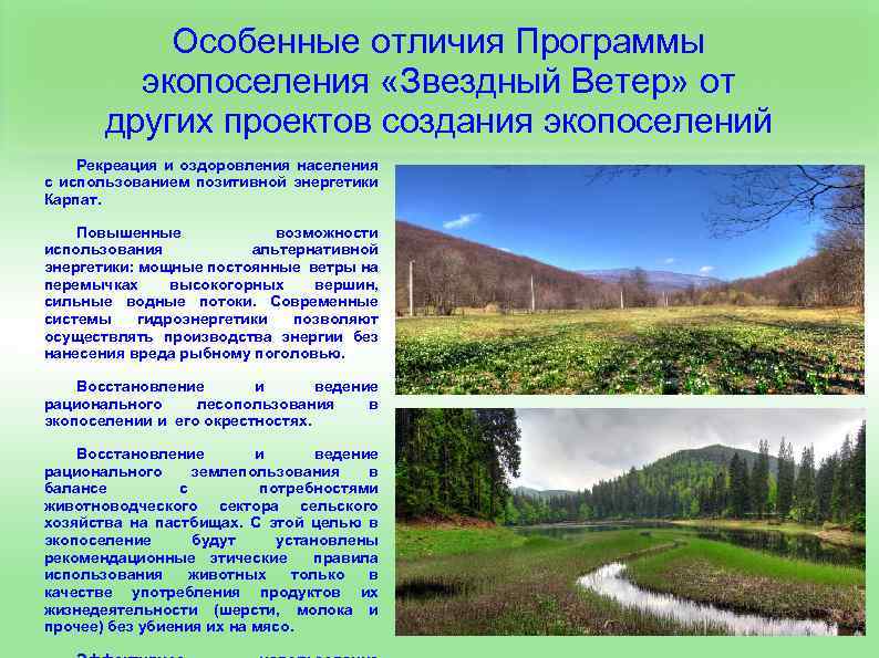 Особенные отличия Программы экопоселения «Звездный Ветер» от других проектов создания экопоселений Рекреация и оздоровления