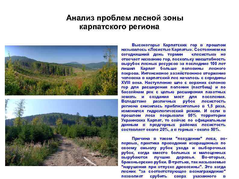 Анализ проблем лесной зоны карпатского региона Высокогорье Карпатских гор в прошлом называлось «Лесистые Карпаты»