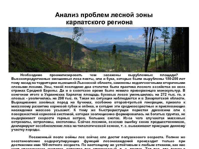 Анализ проблем лесной зоны карпатского региона Необходимо проанализировать чем засажены вырубленные площади? Высокопродуктивные смешанные