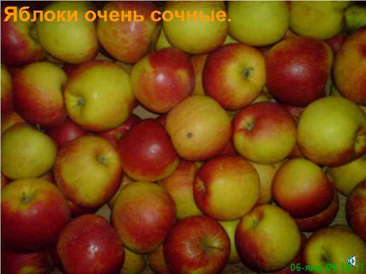 Яблоки очень сочные. 