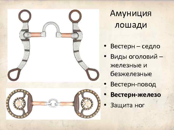 Амуниция лошади • Вестерн – седло • Виды оголовий – железные и безжелезные •