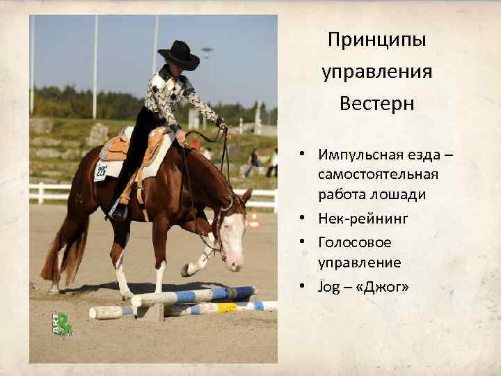 Принципы управления Вестерн • Импульсная езда – самостоятельная работа лошади • Нек-рейнинг • Голосовое