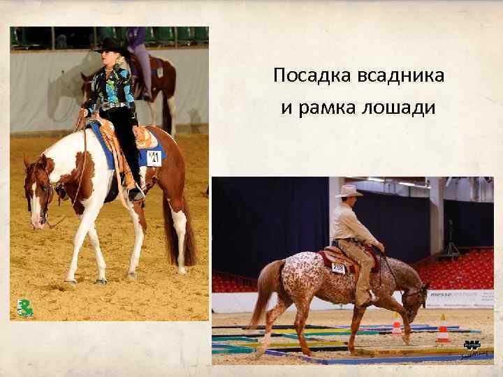 Посадка всадника и рамка лошади 