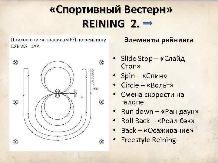 Рабочая тропа конный спорт схема