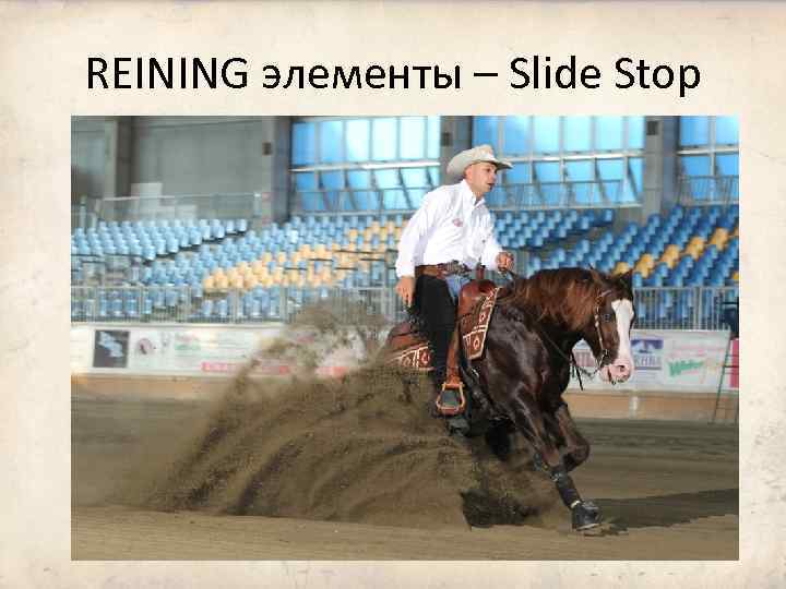 REINING элементы – Slide Stop 
