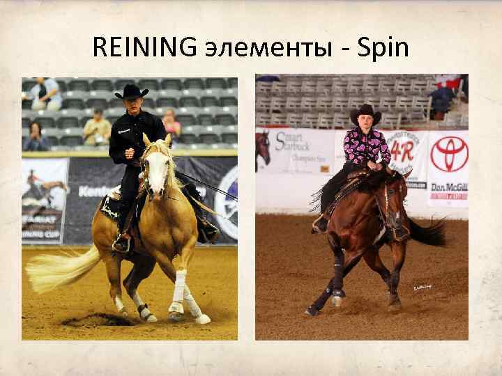 REINING элементы - Spin 