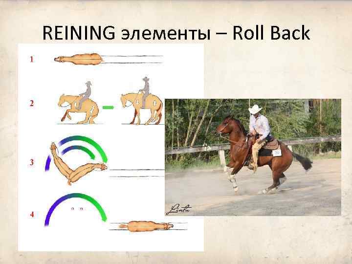 REINING элементы – Roll Back 