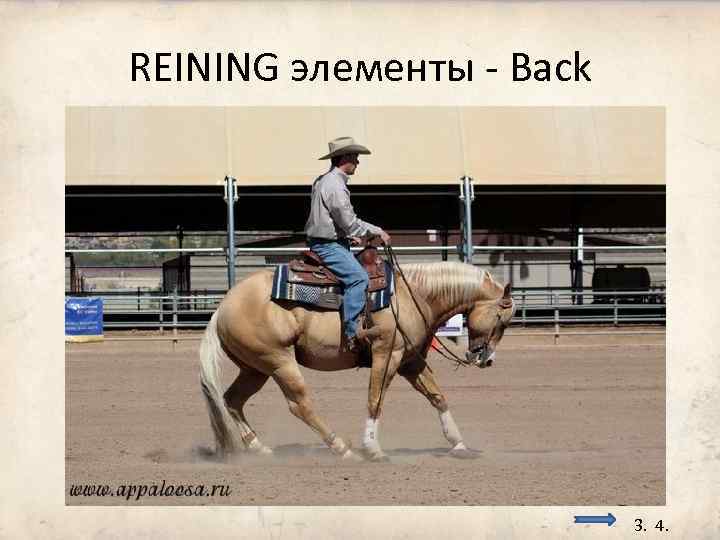 REINING элементы - Back 3. 4. 