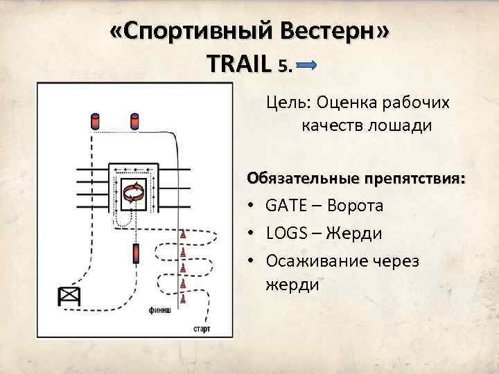  «Спортивный Вестерн» TRAIL 5. Цель: Оценка рабочих качеств лошади Обязательные препятствия: • GATE