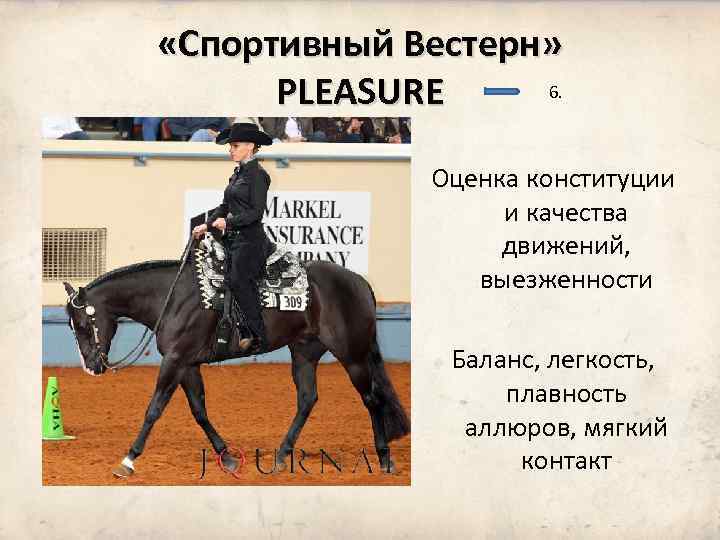  «Спортивный Вестерн» 6. PLEASURE Оценка конституции и качества движений, выезженности Баланс, легкость, плавность