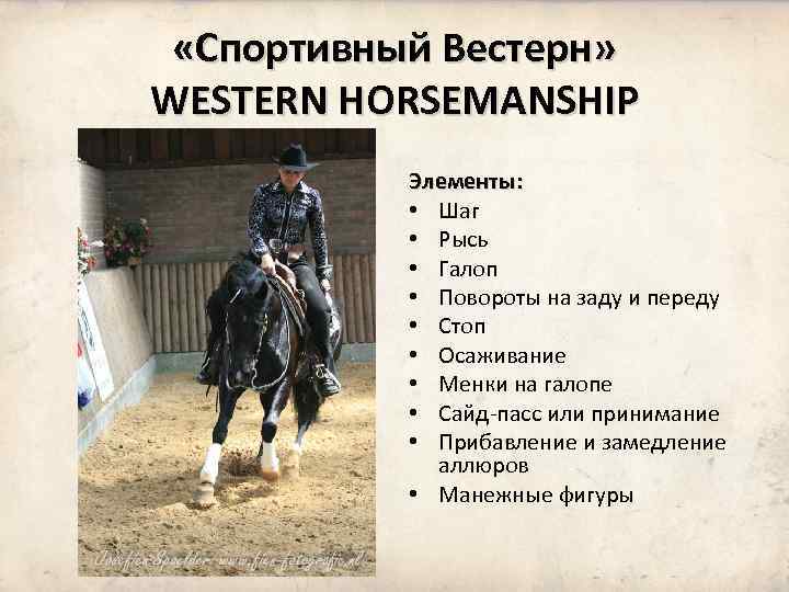  «Спортивный Вестерн» WESTERN HORSEMANSHIP Элементы: • Шаг • Рысь • Галоп • Повороты