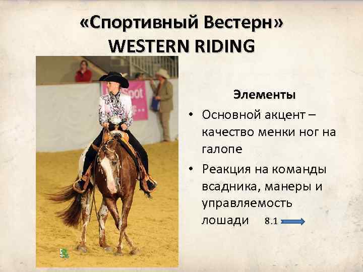  «Спортивный Вестерн» WESTERN RIDING Элементы • Основной акцент – качество менки ног на