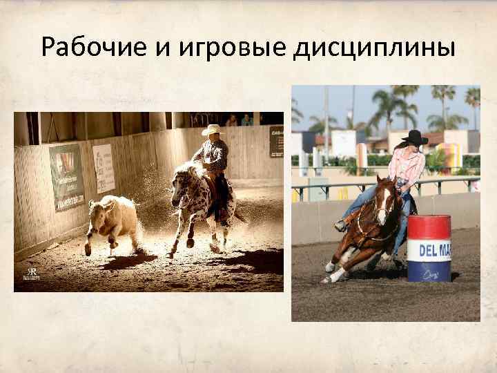 Рабочие и игровые дисциплины 