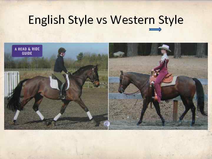 English Style vs Western Style 