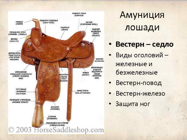 Амуниция лошади • Вестерн – седло • Виды оголовий – железные и безжелезные •