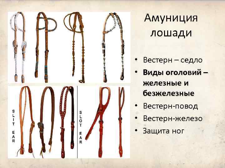 Амуниция лошади • Вестерн – седло • Виды оголовий – железные и безжелезные •