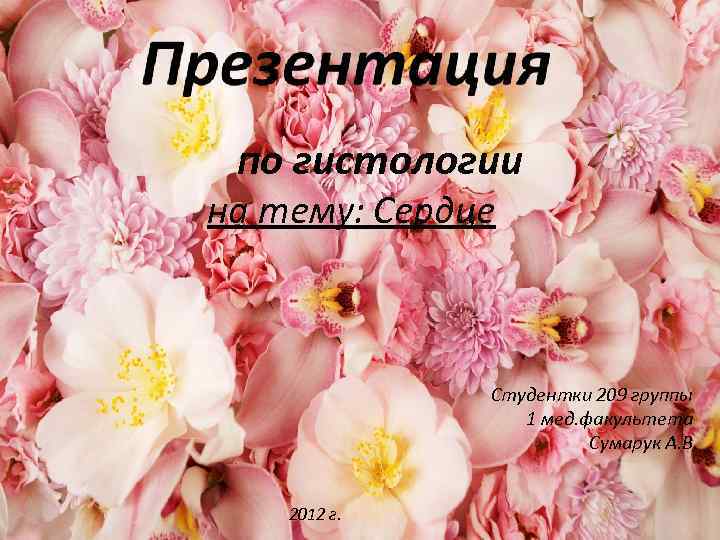 по гистологии на тему: Сердце Студентки 209 группы 1 мед. факультета Сумарук А. В.