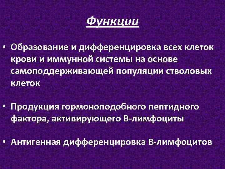 Функции • Образование и дифференцировка всех клеток крови и иммунной системы на основе самоподдерживающей