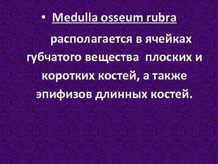  • Medulla osseum rubra располагается в ячейках губчатого вещества плоских и коротких костей,