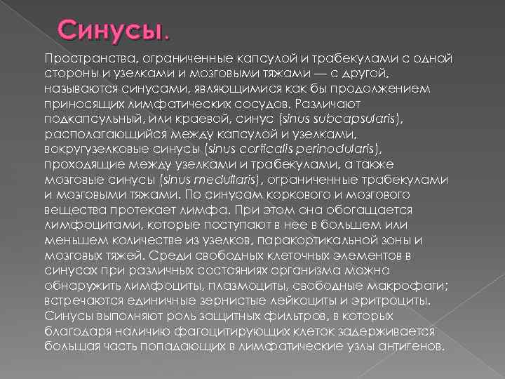 Синусы. Пространства, ограниченные капсулой и трабекулами с одной стороны и узелками и мозговыми тяжами