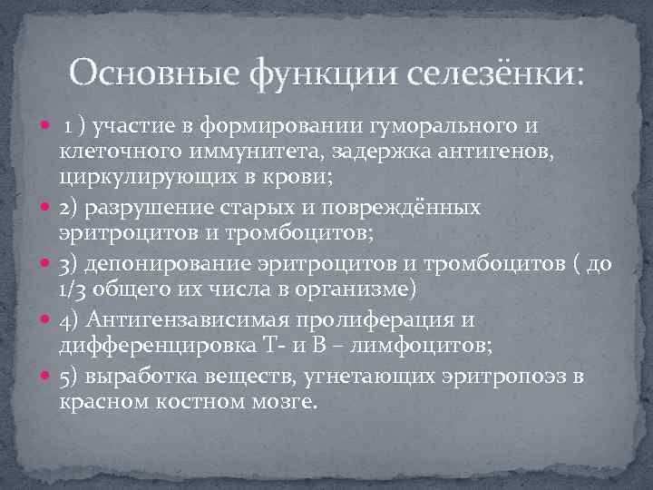 Основные функции селезёнки: 1 ) участие в формировании гуморального и клеточного иммунитета, задержка антигенов,