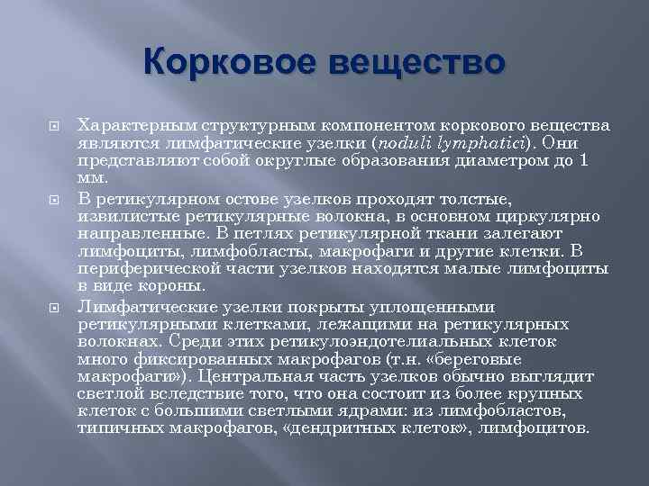 Корковое вещество Характерным структурным компонентом коркового вещества являются лимфатические узелки (noduli lymphatici). Они представляют