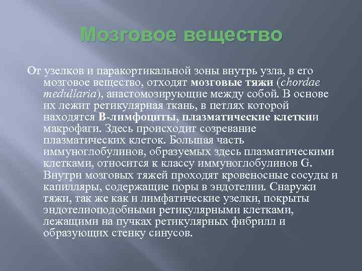 Мозговое вещество От узелков и паракортикальной зоны внутрь узла, в его мозговое вещество, отходят
