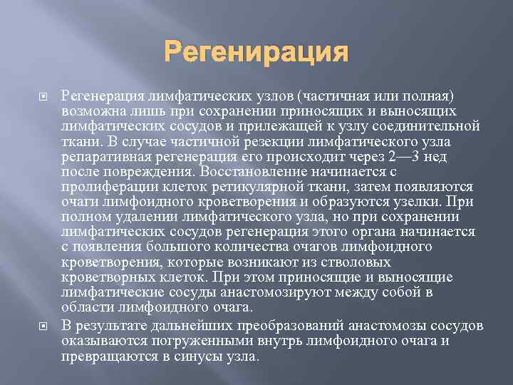 Регенирация Регенерация лимфатических узлов (частичная или полная) возможна лишь при сохранении приносящих и выносящих