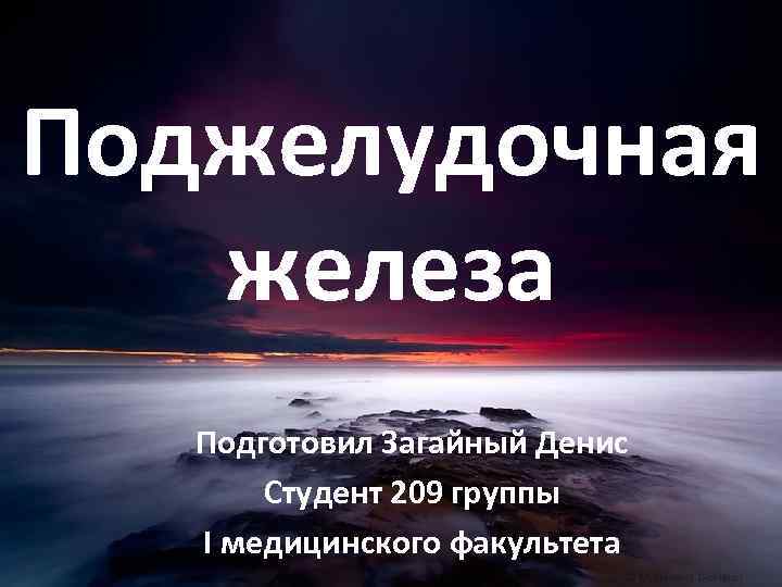 Поджелудочная железа Подготовил Загайный Денис Студент 209 группы I медицинского факультета 