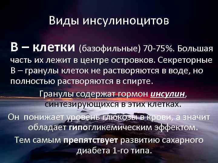 Виды инсулиноцитов В – клетки (базофильные) 70 -75%. Большая часть их лежит в центре