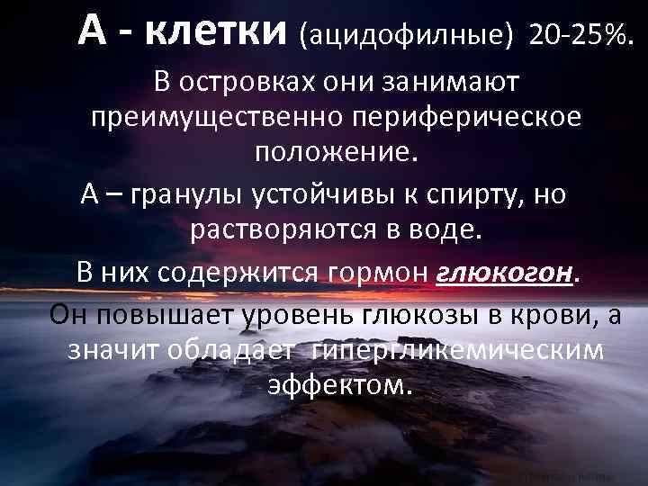 А - клетки (ацидофилные) 20 -25%. В островках они занимают преимущественно периферическое положение. А