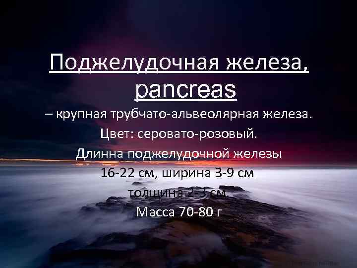 Поджелудочная железа, pancreas – крупная трубчато-альвеолярная железа. Цвет: серовато-розовый. Длинна поджелудочной железы 16 -22