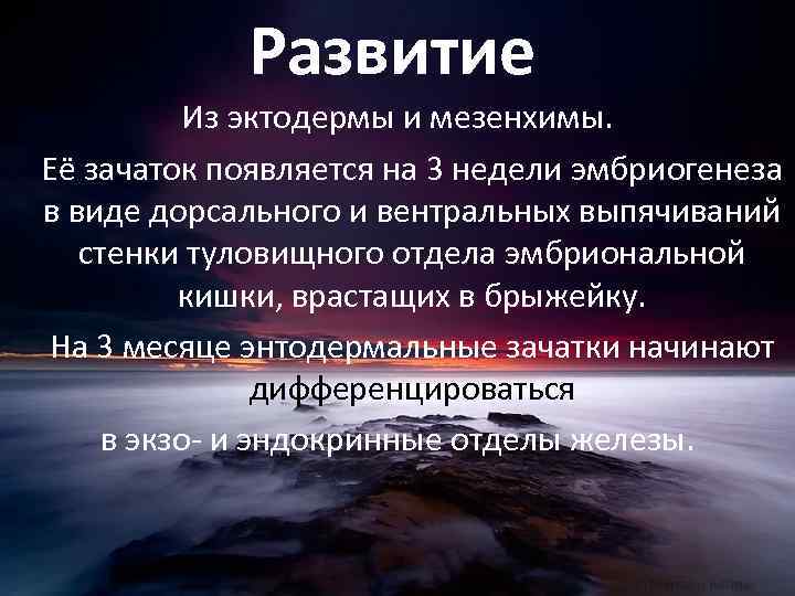 Развитие Из эктодермы и мезенхимы. Её зачаток появляется на 3 недели эмбриогенеза в виде