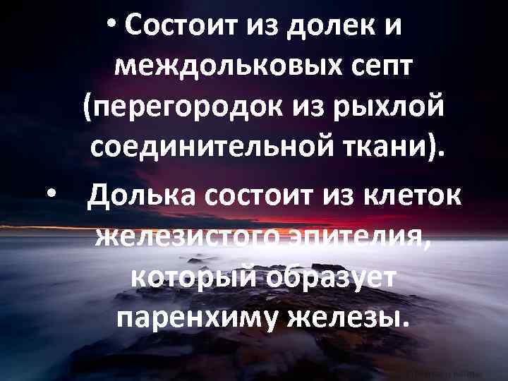  • Состоит из долек и междольковых септ (перегородок из рыхлой соединительной ткани). •