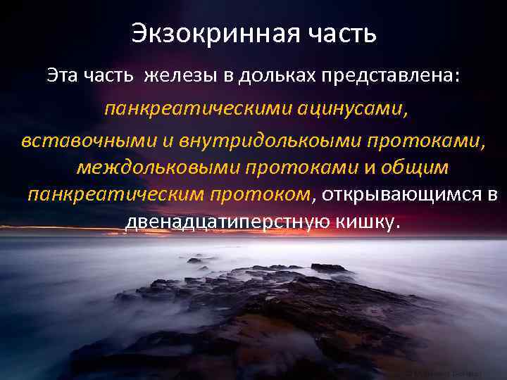 Экзокринная часть Эта часть железы в дольках представлена: панкреатическими ацинусами, вставочными и внутридолькоыми протоками,