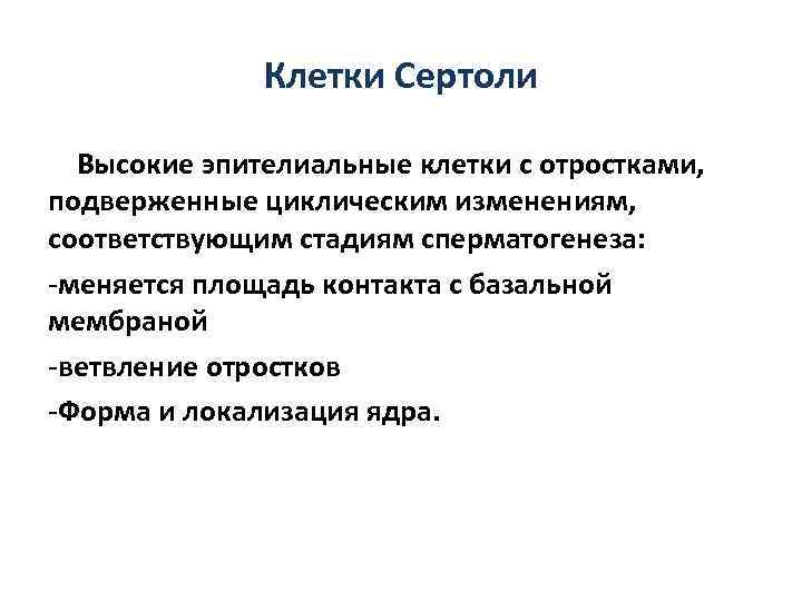 Клетки Сертоли Высокие эпителиальные клетки с отростками, подверженные циклическим изменениям, соответствующим стадиям сперматогенеза: -меняется