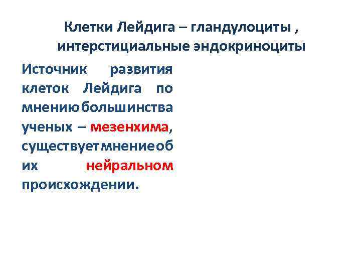 Клетки Лейдига – гландулоциты , интерстициальные эндокриноциты Источник развития клеток Лейдига по мнению большинства