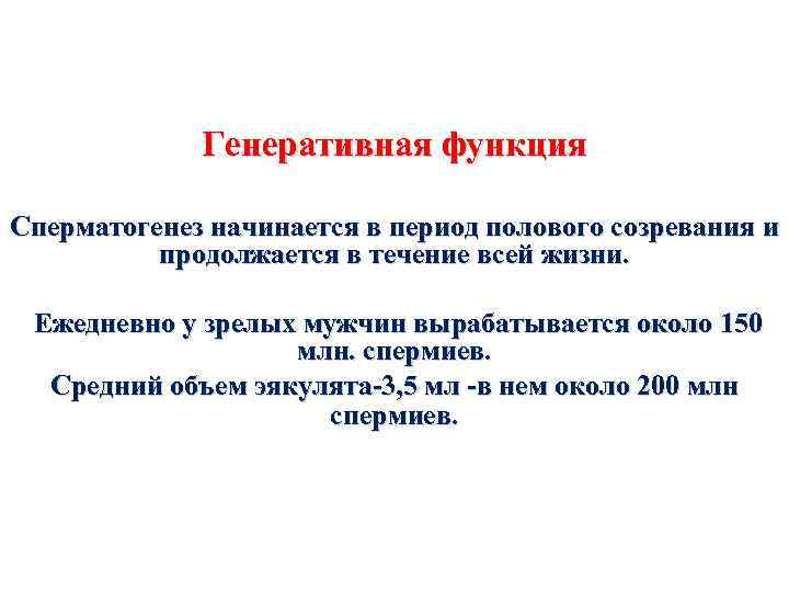 Генеративная функция Сперматогенез начинается в период полового созревания и продолжается в течение всей жизни.