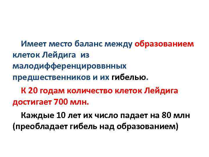 Имеет место баланс между образованием клеток Лейдига из малодифференцироввнных предшественников и их гибелью. К