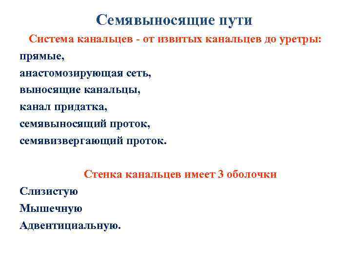 Семявыносящие пути Система канальцев - от извитых канальцев до уретры: 1. прямые, 2. анастомозирующая