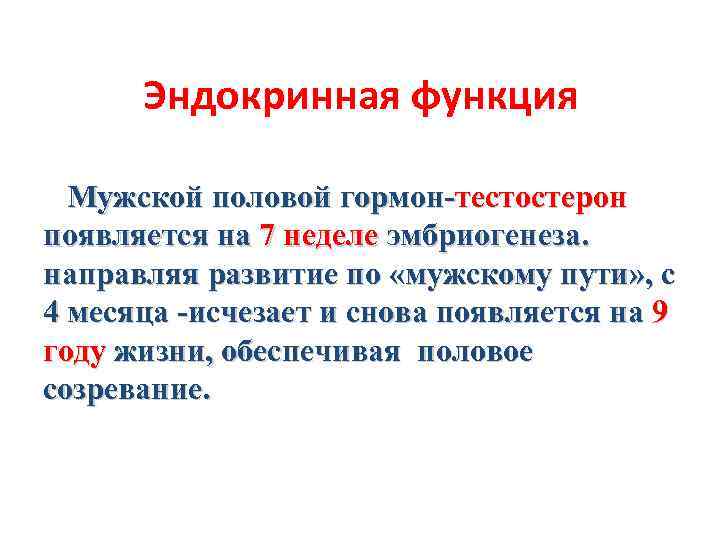 Эндокринная функция Мужской половой гормон-тестостерон появляется на 7 неделе эмбриогенеза. направляя развитие по «мужскому