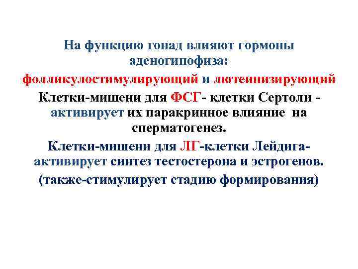 На функцию гонад влияют гормоны аденогипофиза: фолликулостимулирующий и лютеинизирующий Клетки-мишени для ФСГ- клетки Сертоли