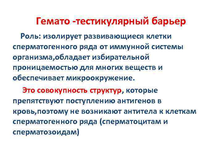 Гемато -тестикулярный барьер Роль: изолирует развивающиеся клетки сперматогенного ряда от иммунной системы организма, обладает