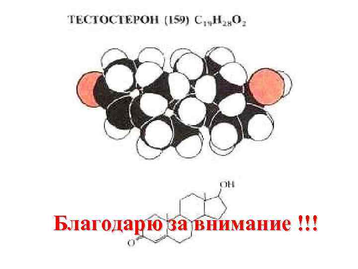 Благодарю за внимание !!! 