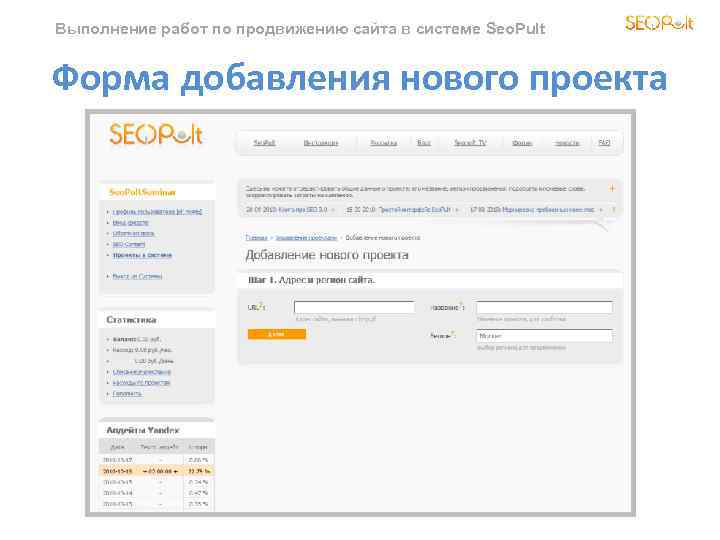 Выполнение работ по продвижению сайта в системе Seo. Pult Форма добавления нового проекта 